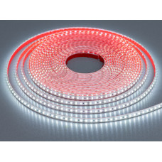 LED стрічка 12В, 120 шт/м, герметична, 8мм, холодний