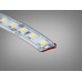 LED лента 12в, 120 шт/м, герметична, 8мм, холодный