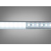 LED лента 12в, 120 шт/м, герметична, 8мм, холодный