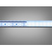 LED лента 12в, 120 шт/м, герметична, 8мм, холодный
