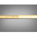 LED лента 12в, 120 шт/м, герметична, 8мм, теплый