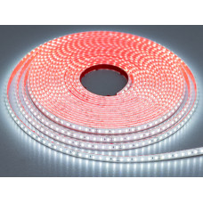 LED лента 24В, 120 шт/м, герметична, 8мм, холодный