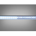 LED лента 24В, 120 шт/м, герметична, 8мм, холодный