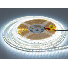 LED лента 24В, 240 диодов на метр, 10мм, холодный