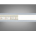 LED лента 24в, 240 диодов на метр, 15мм, нейтральный