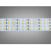 LED лента 24В, 480 диодов на метр, 30мм, нейтральный