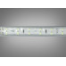 LED лента 220в, 120 шт/м, герметична, 10мм, голубой