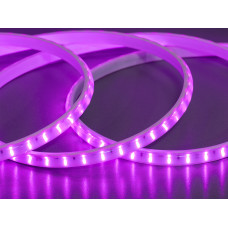 LED лента 220в, 120 шт/м, герметична, 10мм, розовый